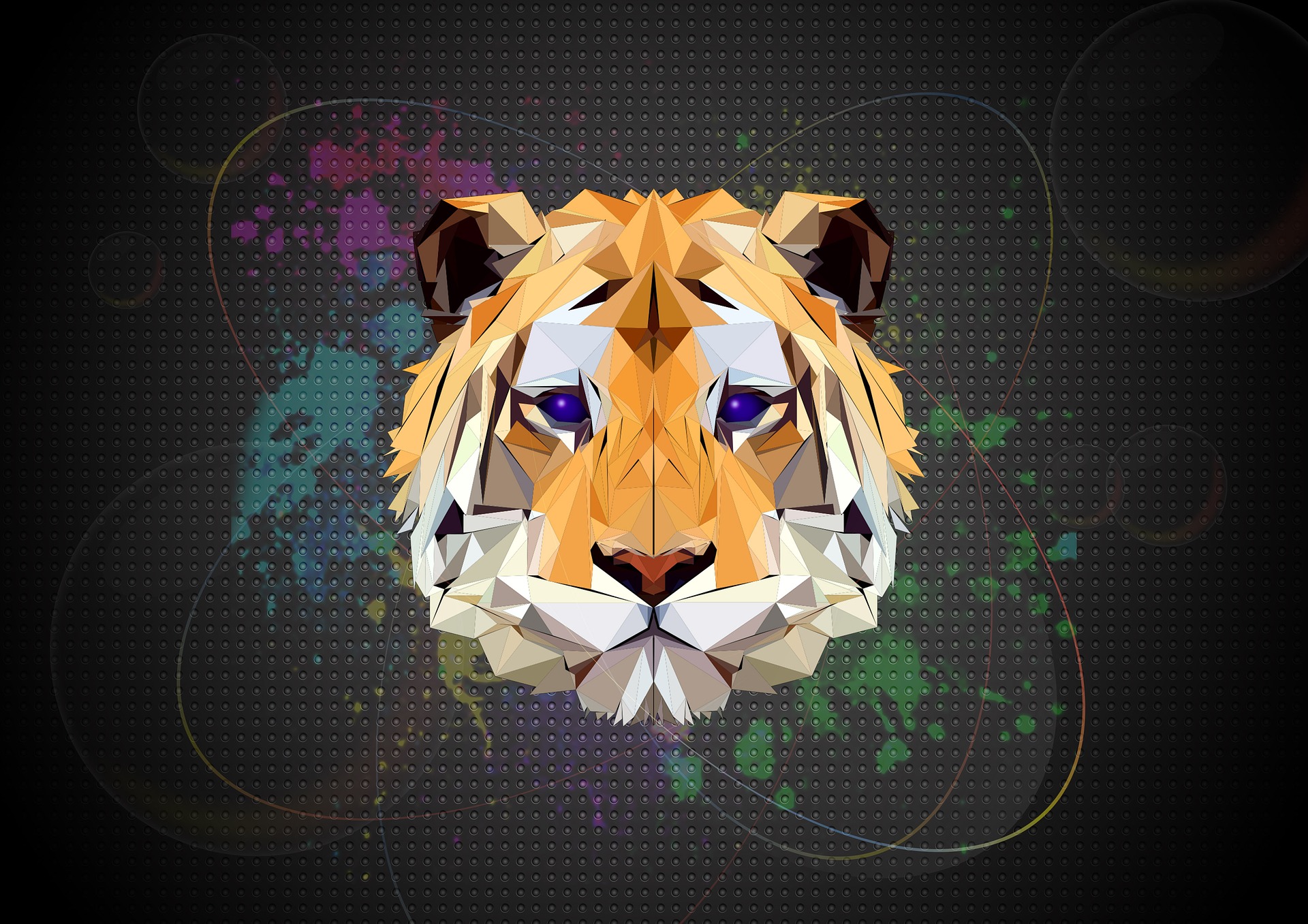 Animation de Logo Fluide en Motion Design